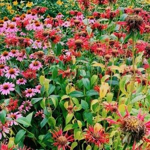 Meet your Posher, Lydia